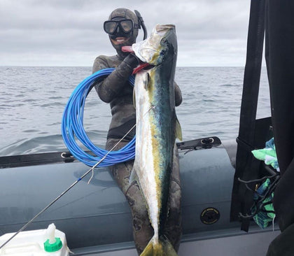 Super rad spearfisher Brooke Bass sittng on the side of a R.I.B. holding her fresh harvest of yellow tail! she's also holding the blue water floatline by Dark Waters Dive Co.