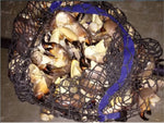 Wow, a full load of stone crab claws in the Mutiny Botty Bag.